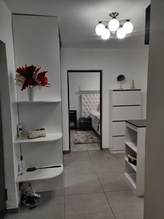 Mdm Apartment クルージュ＝ナポカ エクステリア 写真